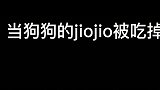 二哈的脚被“吃”掉了！虽然我很同情它，但是忍不住笑了
