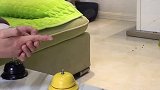 铲屎官手流血二哈拿的东西让人脸红