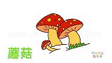 蔬菜简笔画大全，画森林中的蘑菇简笔画