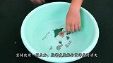 白萝皮用水煮一煮，用处厉害又实用，现在学还不晚