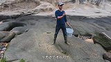 馒头赶海最惊险的一次，为抓“天价”海货被巨石卡住，半天出不来