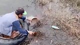 朋友坐着气垫，在河里抓到一条好大的鲤鱼，真是高手！