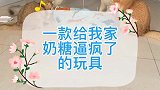 当你有一个脑回路很跳跃又很调皮的猫
