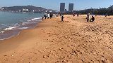 跟随浪尖，寻觅海浪携来的小贝壳