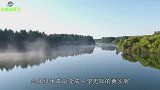 黄土高原以前是绿水青山，为何现在变成漫山的黄沙？看完恍然大悟