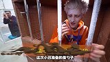 哥谭小丑绑架案，四个牢笼，用一个勺子能出来吗