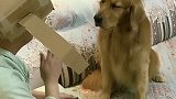 万万没想到的结局……轮胎成精了