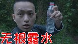 山上的无根露水泡茶很好喝？泡出来喝一口我懵了