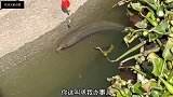 鱼哪个干部经不起这样的考验啊