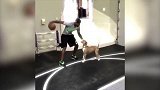 篮球-17年-狗狗防守相当可以！泡椒单挑爱犬飙中干拔三分-专题