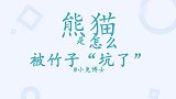 熊猫是怎么被竹子“坑了”？熊猫濒临灭绝，竹子也有责任