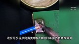 南宁海关辟谣查获600公斤稀土材料：系焊锡膏