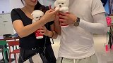你家养狗狗了吗～
