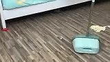 今天清扫床底用了移动小神器，移动重床很方便
