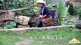 女子这样烹饪蘑菇, 味道美极了
