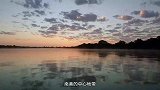 鳄鱼正悠闲地漂浮着晒太阳，岸上猎手已锁定它，厄运即刻降临！