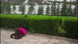 第三次来到布达拉宫