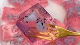 吃了这么多年的火龙果，原来火龙果皮才是宝