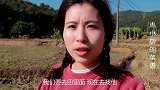 甘蔗一根3块钱，一次买了20根，够啃好几天，你们爱吃甘蔗吗