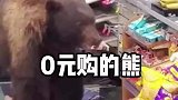 一头学会0元购的熊，它不是第一次来了