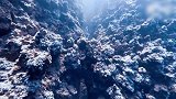 看到窒息！极限大师一口气裸潜至30米深海 曾经坐轮椅