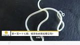 病原体肉眼能看见吗？