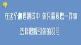 心理测试---一根羽毛测出你的隐藏性格