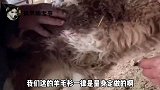 狗子：管好你家老爷们，这整的好像我家老爷们似的！