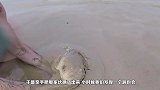 男子在自家后院的洞里找到自己失散多年的宠物，镜头记录全过程