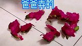 茶杯犬爸爸成功背锅
