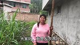 老妈在田干活，发现两米长的“毒蛇”匍匐在田里，看看什么蛇