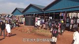 世界最“贵”的人血液，比黄金还值钱，却为了活着提心吊胆