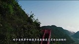 海底火山爆发的时候，海水为何不能将火山浇灭？看完涨见识了