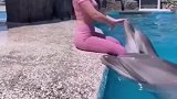 饲养员和海豚玩的不亦乐乎