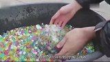 老外把100万水宝宝倒进泳池，10分钟后，场面开始失控！