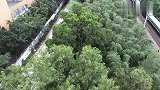 豆哥不卖车：新宝骏智能串联现实与梦，明天会更好