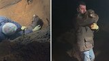 英国：一只失聪可卡犬被困6米深兔子洞30小时后获救