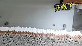 卷烟厂流水线，真是开了眼了，太厉害了