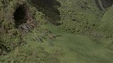 恐龙：恐龙们终于回到了家！