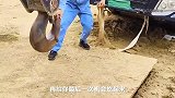 吊车挂钩也不简单！