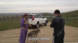 狗瞧不起狼？一只狗被群狼围攻，狗狗一点不害怕，还追着狼到处跑