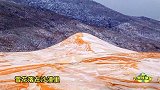 全球最热的撒哈拉沙漠居然下雪了!37年来首次