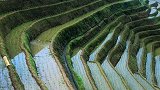 勤劳智慧人民的结晶，高山上的梯田