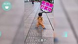 父爱泛滥！刘恺威为小糯米庆7岁生日，蛋糕立牌暴露父女情！
