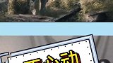 帅就一个字，我只说一次