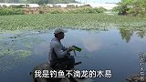 前一天被网友数落钓不到昂刺,今天收杆就中,还是痴古呆子最好钓
