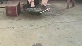 回村后的我，就是这么接地气儿。