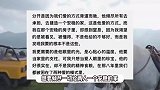 知名博主陶白白官宣离婚，与前妻已分开2年，女方表示没安全感