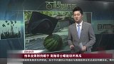 拍毕业照别扔帽子高抛学士帽能切开西瓜