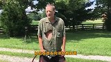 杀人蜂蜇人有多疼？老外作死尝试，瞬间崩溃，鼻涕眼泪一起流